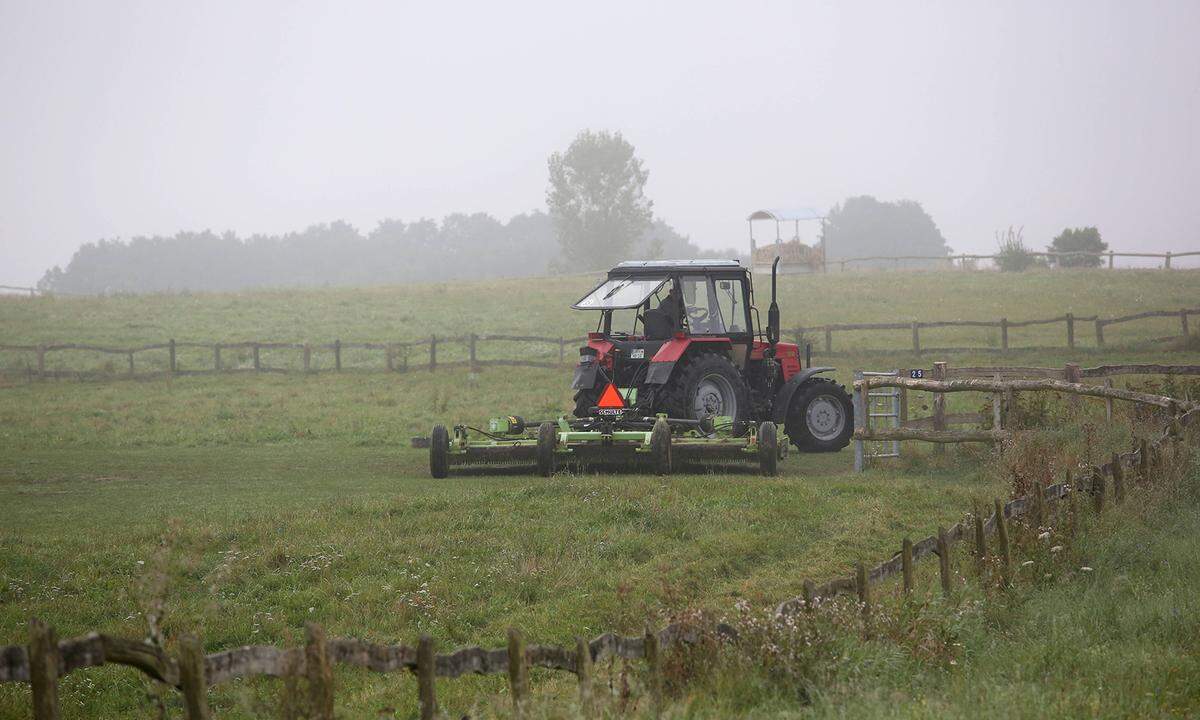 Der 40 Millionen Euro schwere Konkurs der oberösterreichischen FS Agrartech war 2017 nach vorangegangenen finanziellen Schwierigkeiten nicht mehr abzuwenden. Wegen mangelnder Liquidität bestand auch keine Möglichkeit zur Fortführung des Unternehmens.