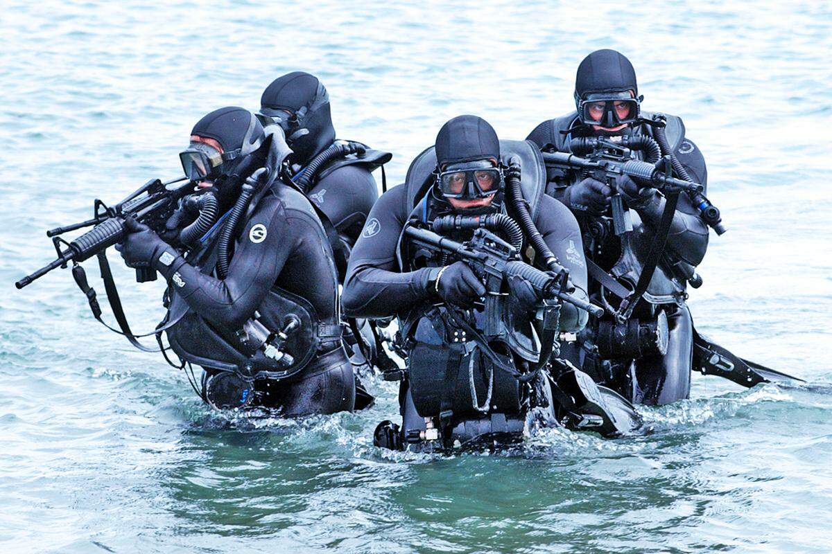 Die Navy Seals gliedern sich in zwei Marine-Sondereinsatzgruppen. Eine solche Gruppe umfasst vier Seal-Teams, die aus drei Zügen mit je rund 40 Mann bestehen, und ein Seal Delivery Vehicle Team, das für die U-Boote zuständig ist. Daneben existiert die DEVGRU (Naval Special Warfare Development Group), die als reine Anti-Terror-Einheit zusammen mit der Delta Force dem US Joint Special Operations Command unterstellt ist.
