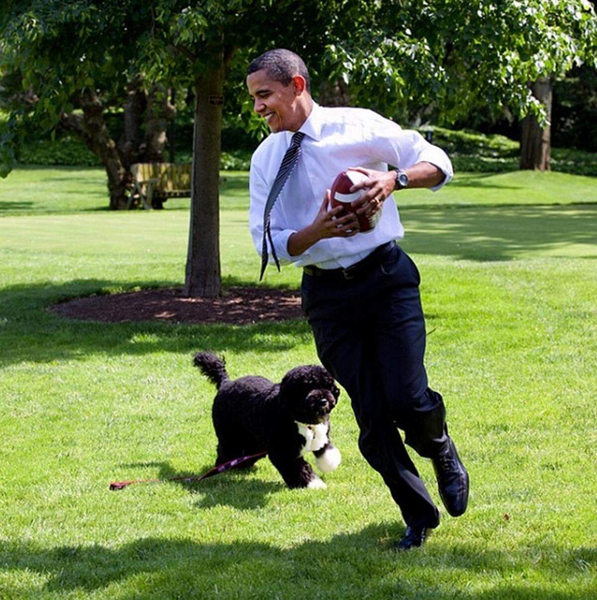 Einer der wohl berühmtesten Hunde der Welt ist auch Bo. Mit Herrchen Barack Obama ist er öfters auf dem Instagram-Profil des Weißen Hauses zu sehen.