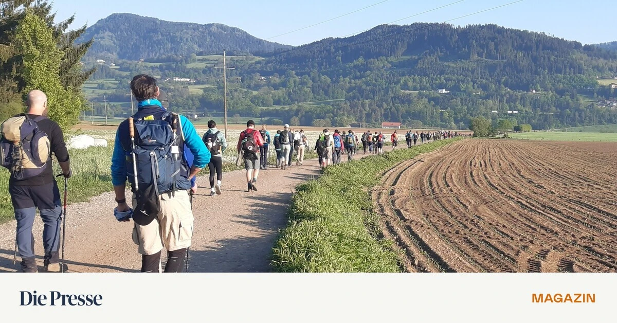 Der-kultige-Vierbergelauf-in-K-rnten-Gehen-bis-die-S-nden-abgeb-t-sind-premium-