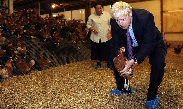 Boris Johnson besuchte auch eine Hühnerfarm in St. Brides Wentlooge.