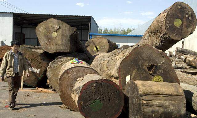 China exportiert Entwaldung rund
