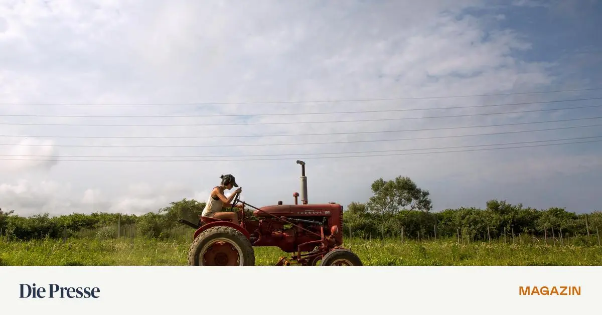 Nicht-der-Klimawandel-macht-uns-hungrig-premium-