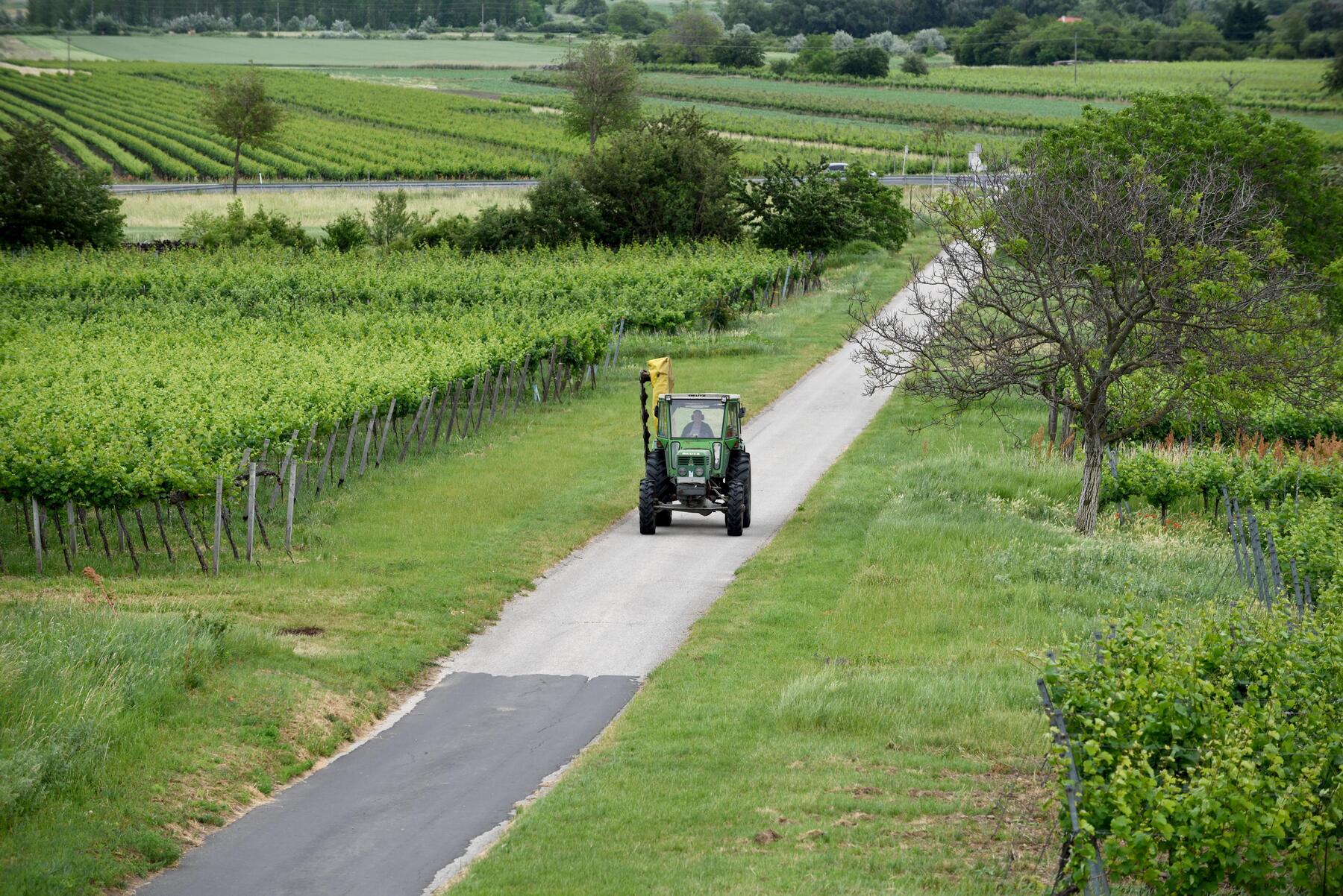 EU erlaubt mehr Staatshilfen für Industrie und Landwirte