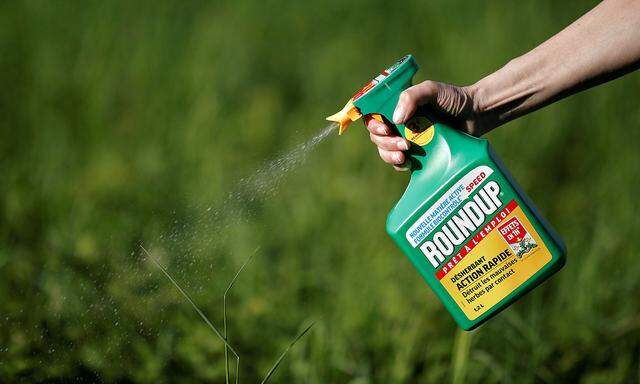 FILE PHOTO: A woman uses a Monsanto's Roundup weedkiller spray without glyphosate in a garden in Ercuis near Paris