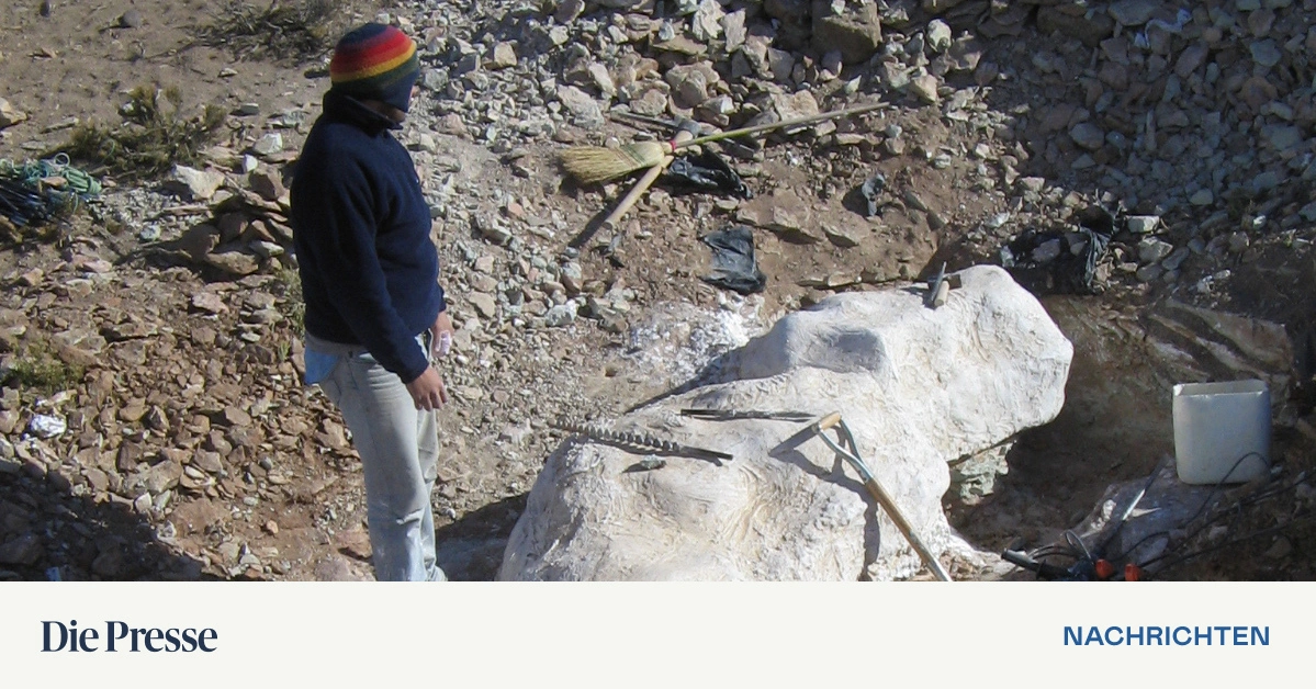 Schafhirte-entdeckt-riesigen-Dinosaurier-auf-seiner-Farm