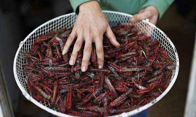Ein thailändischer Arbeiter verkauft geröstete Heuschrecken in Israel.