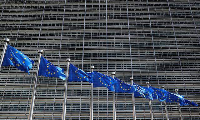 FILE PHOTO: European Union flag flutter outside the EU Commission headquarters in Brussels