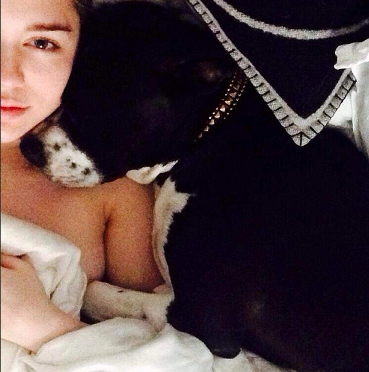 Miley Cyrus teilt das Bett mit ihren Hunden.