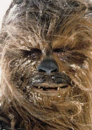 Peter Mayhew as Chewbacca Star Wars Episode V The Empire Strikes Back 1980 Photo credit Luca