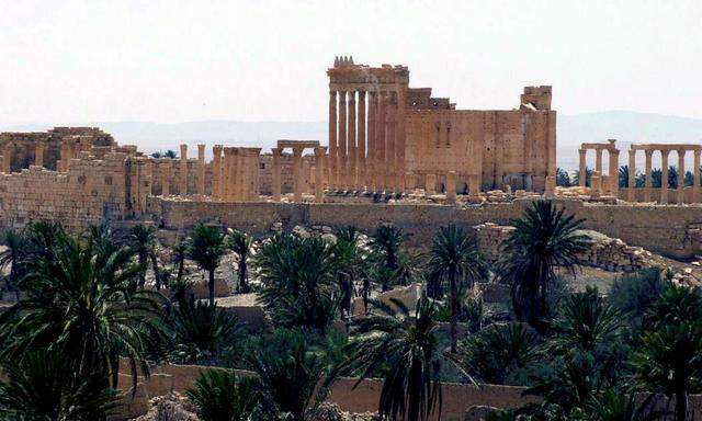 SYRIA PALMYRA HOMS PROVINCE  