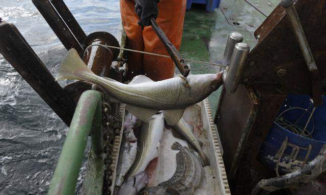 Britische Fischer können derzeit nicht in der Barentssee fischen.