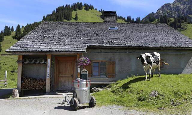 „2023 werden wir wohl nicht an den Umsatz von 3,8 Milliarden Euro heranreichen“, sagte Helmut Petschar, Chef der Vereinigung Österreichischer Milchverarbeiter (VÖM), am Donnerstag bei einer Pressekonferenz in Rotholz in Tirol.