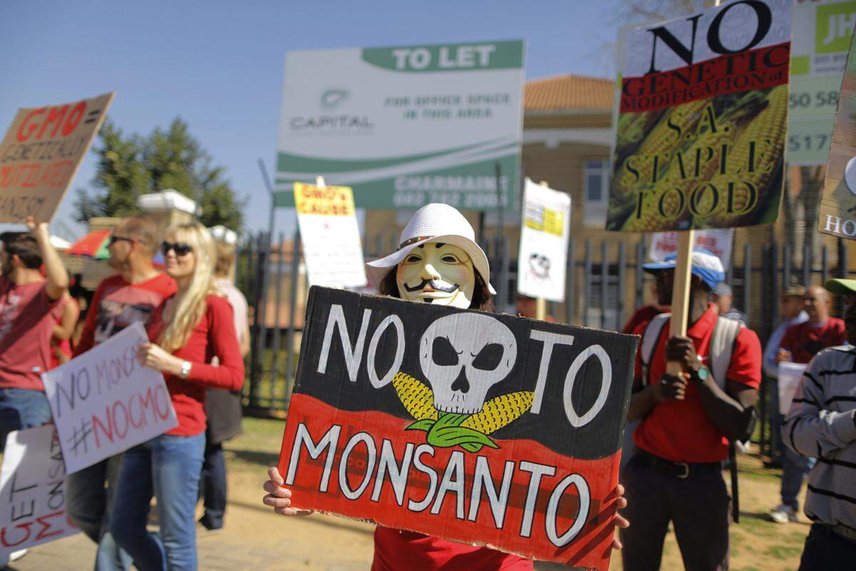 Tausende Menschen haben in mehreren Großstädten auf der ganzen Welt am Samstag gegen den US-Agrarriesen Monsanto und gentechnisch veränderte Organismen demonstriert.