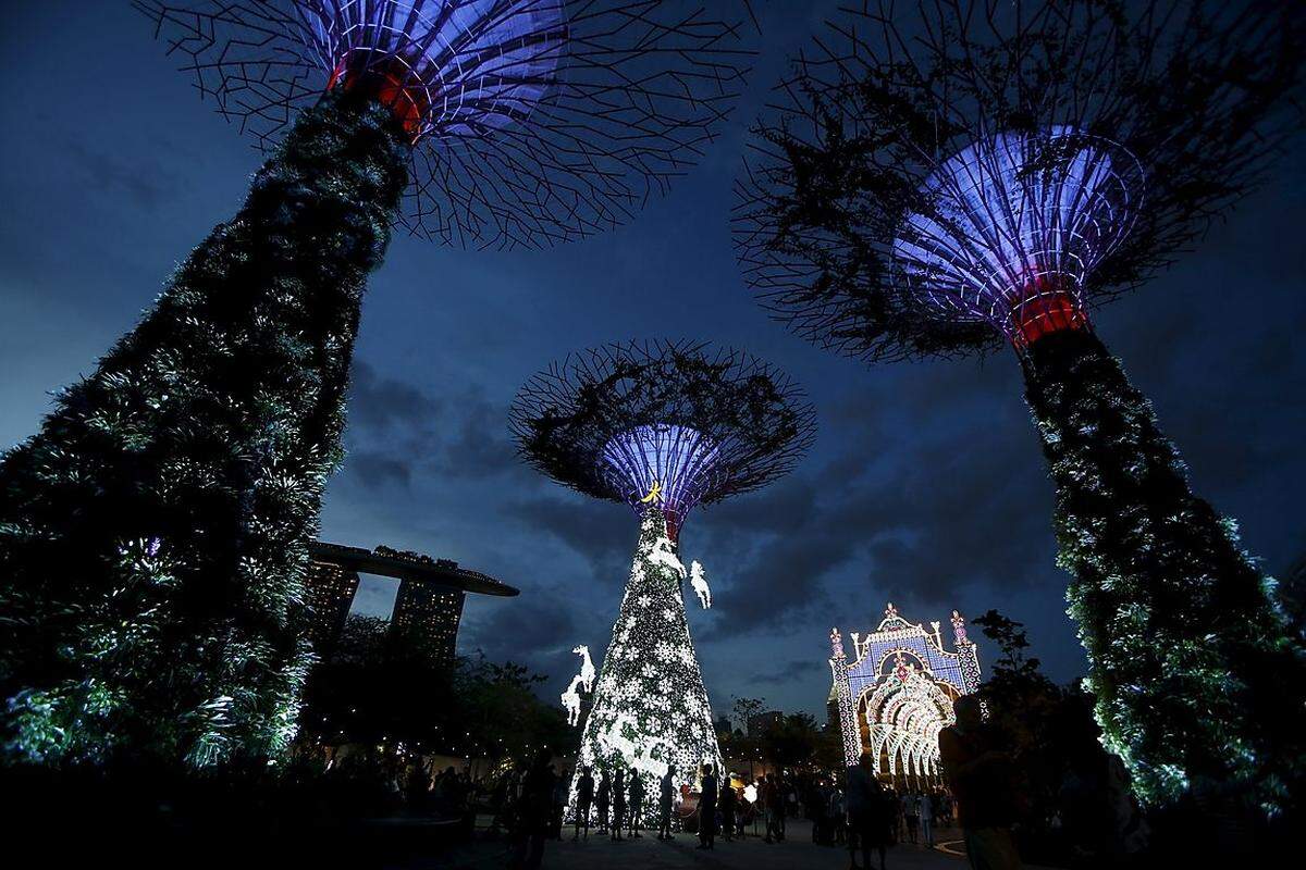 Die tropische Version des Weihnachtsbaums ist in Singapur zu betrachten.