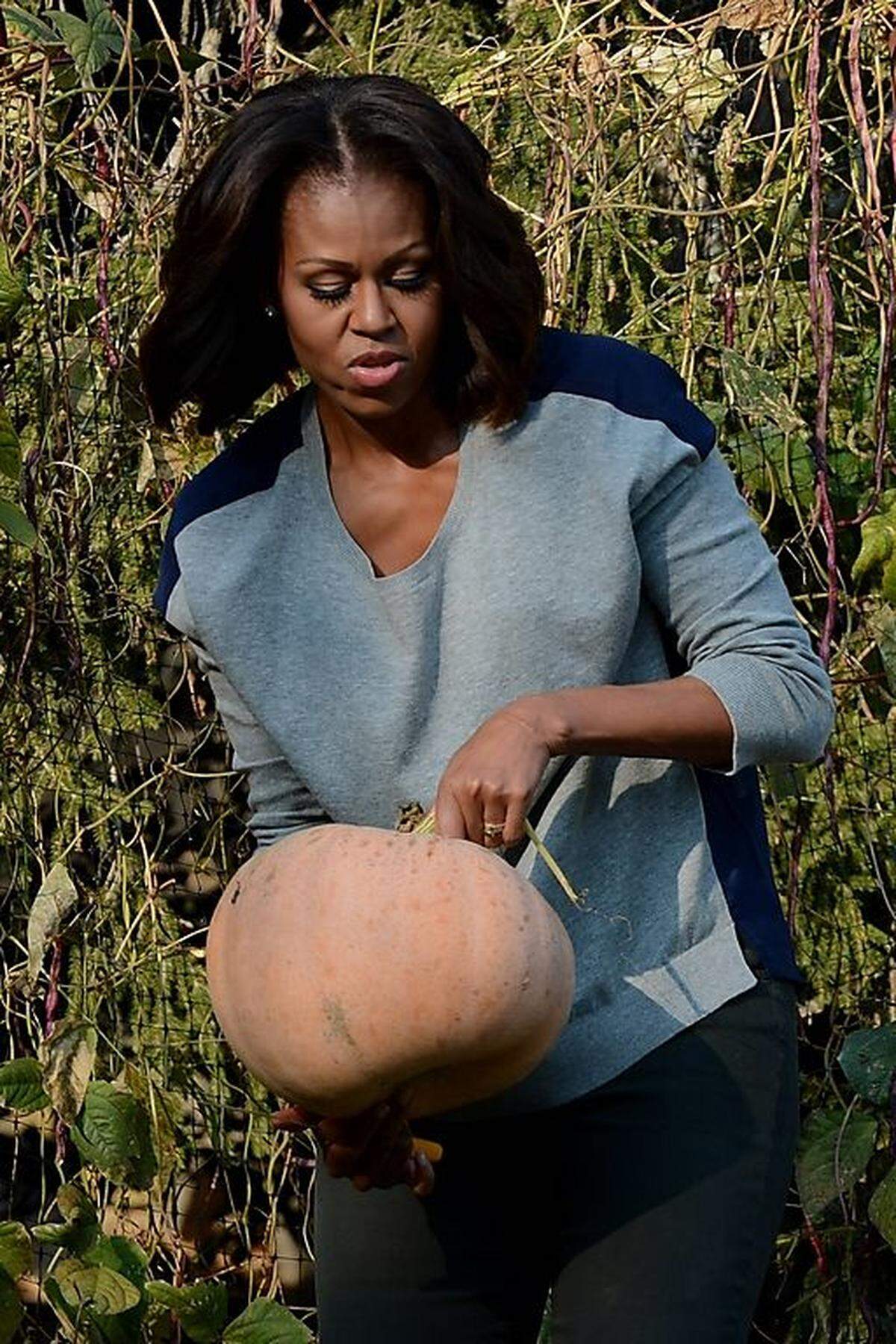 Michelle Obama ist nicht nur eine versierte Juristin, sie kümmert sich auch mit Hingabe um den Gemüsegarten im Weißen Haus.