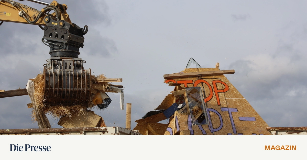 Wie-viele-Kilometer-Autobahn-d-rfen-gebaut-werden-wenn-man-14-Millionen-f-r-Flederm-use-spendet-premium-