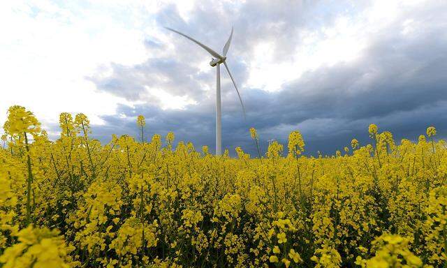 Auch Windkraftwerke könnten in Europa künftig noch eine größere Rolle spielen.