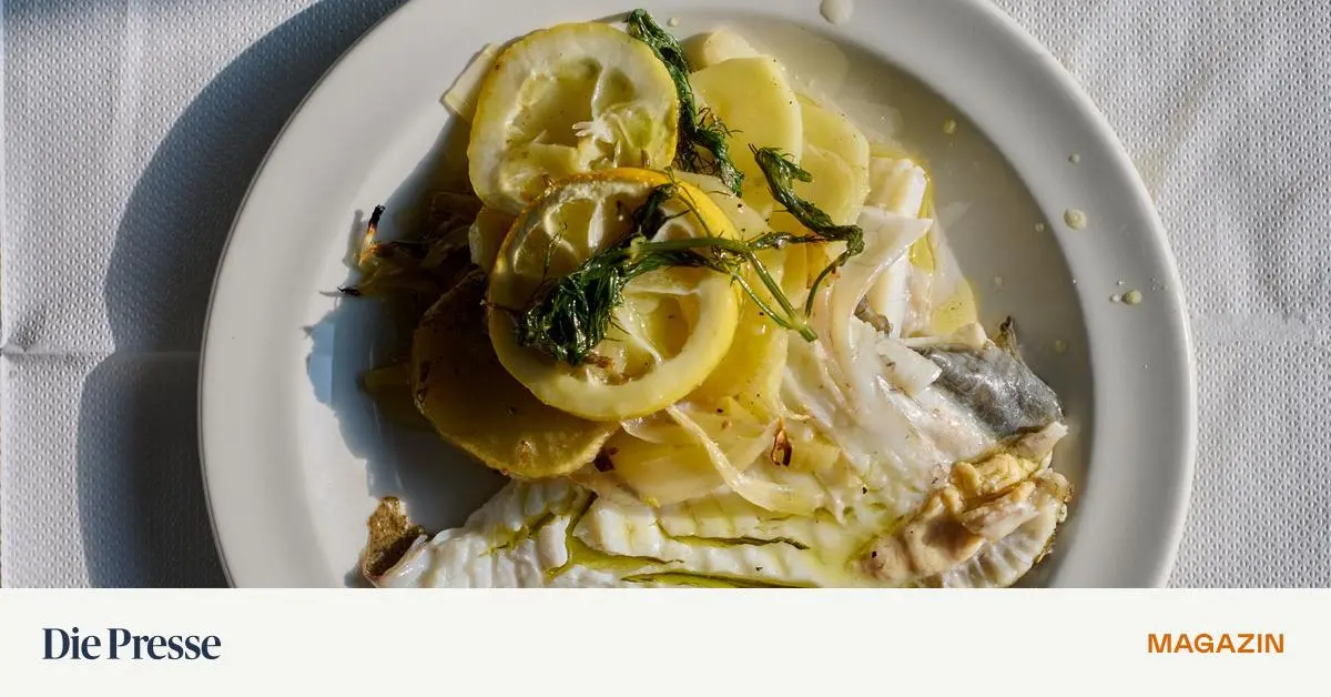 Gebratener-Steinbutt-mit-Erd-pfeln-und-Fenchel