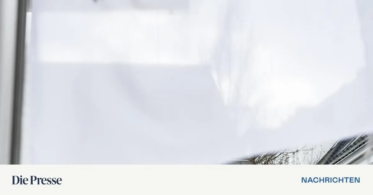 Causa-Kammer-Noch-immer-wenig-Lust-auf-Transparenz-premium-