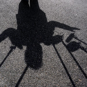 Schatten von Donald Trump