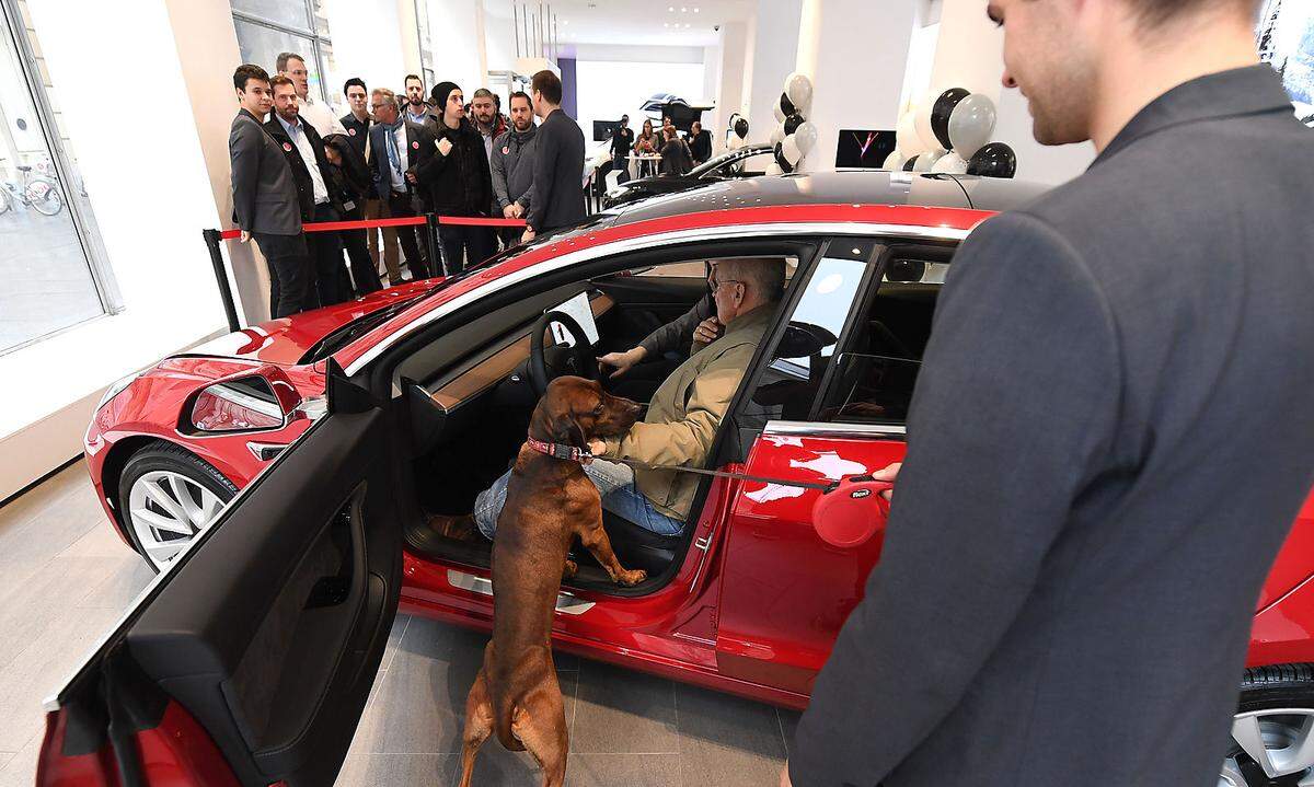 Groß war das Interesse am Model 3 von Tesla, das am Montag erstmals der Öffentlichkeit in Wien präsentiert wurde.