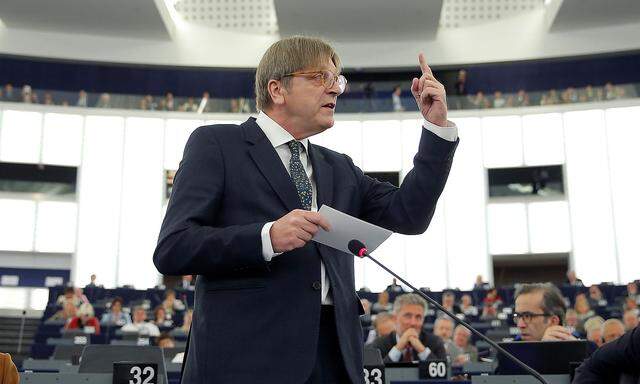 Guy Verhofstadt ist im EU-Parlament Fraktionschef der Liberalen.