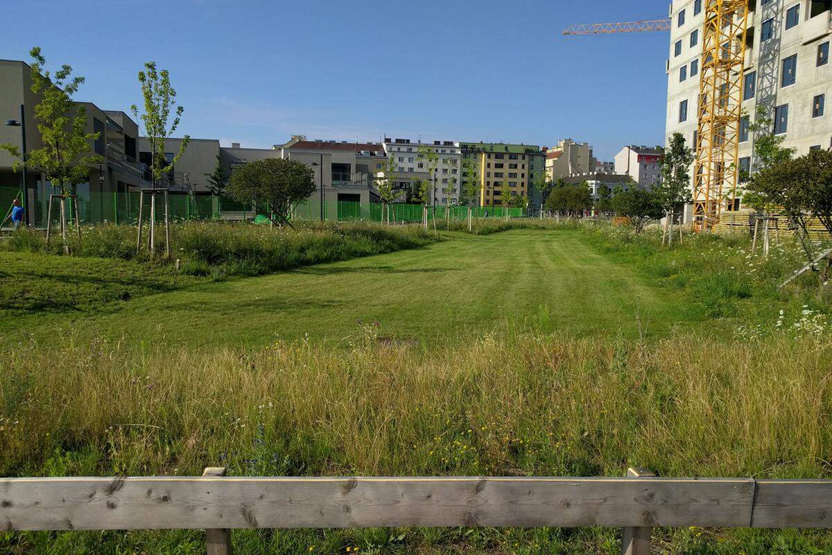 An den Enden reicht der Park in schmalen Bändern zu den Verkehrsflächen hinein, wie hier zwischen Schulcampus und neuen Wohnhäusern in Richtung Kreuzung Gudrunstraße/Sonnwendstraße.