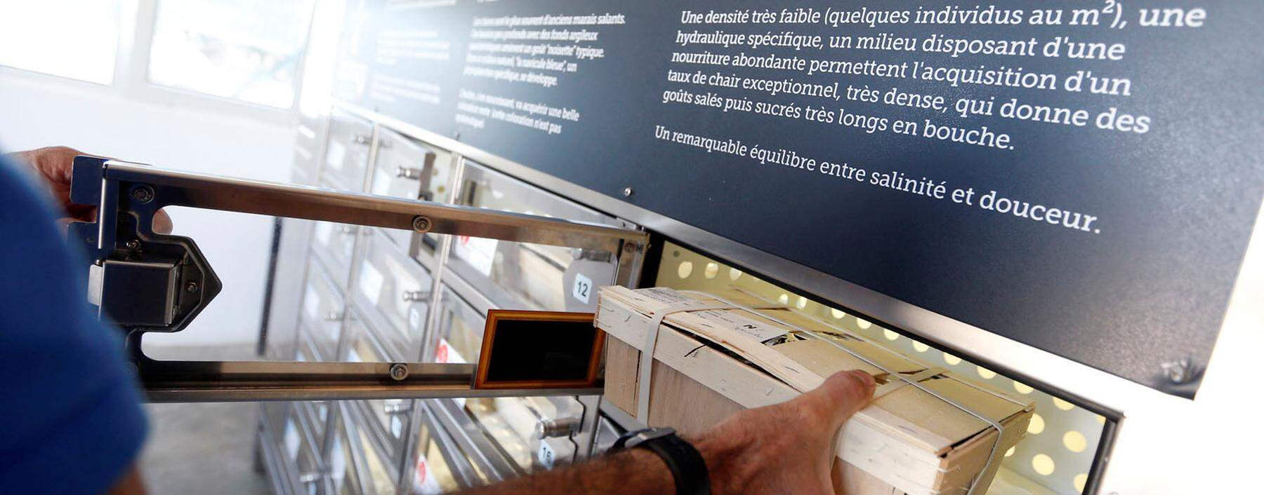 Customers leave with oysters from the automatic oyster vending machine at l´huitriere de Re in Ars en Re on the Re Island, Southwestern France