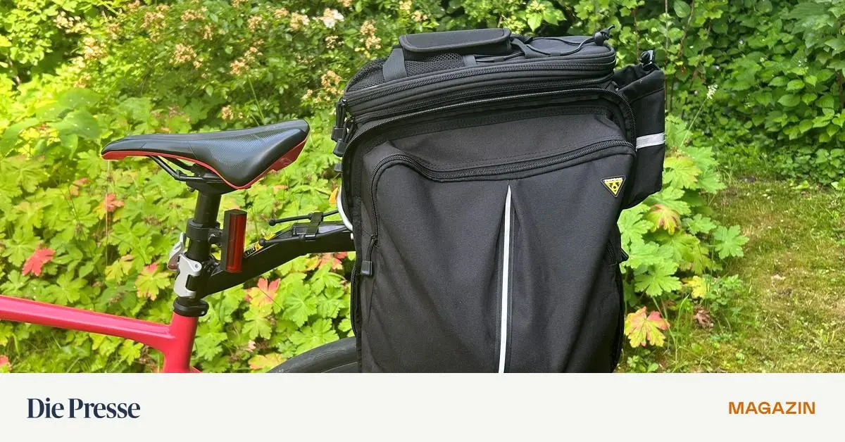 Ein-Rennrad-mit-Gep-cktr-ger-kann-das-was-premium-