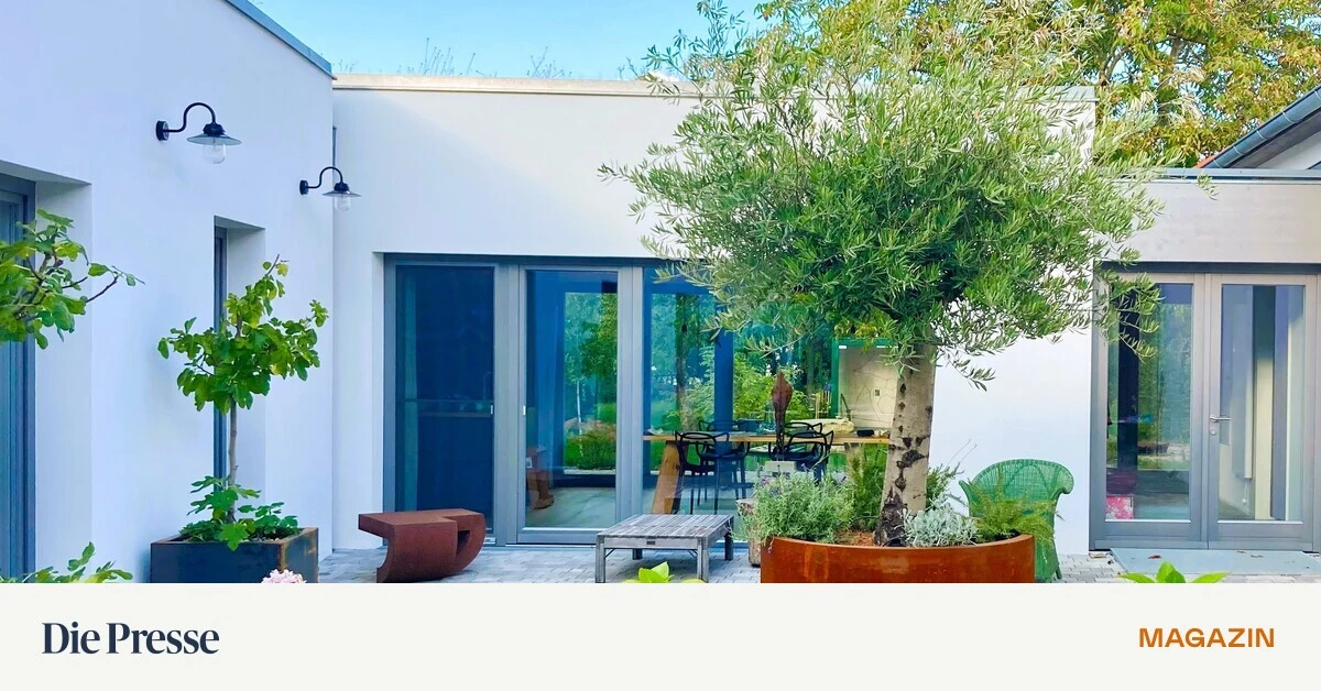 Waldviertel-Was-passiert-kauft-eine-Architektin-einen-alten-Hof-premium-