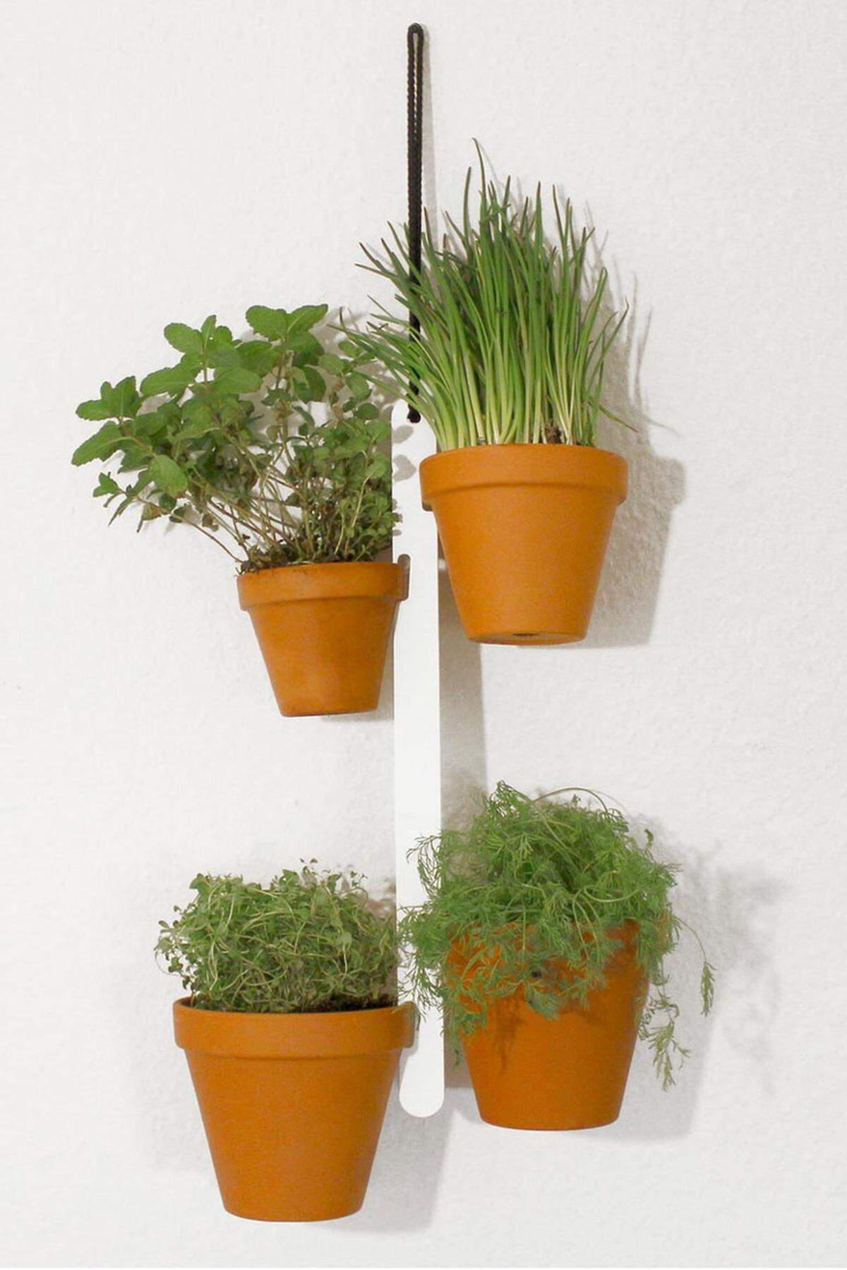 Der Studio Dreimann Blumentopfhalter ist auf ein Minimum reduziert und lässt auf engstem Raum mehreren Pflanzen genügend Platz. Wahlweise gibt es die Halterung mit 4 Haken oder mit 7 Haken.via Connox