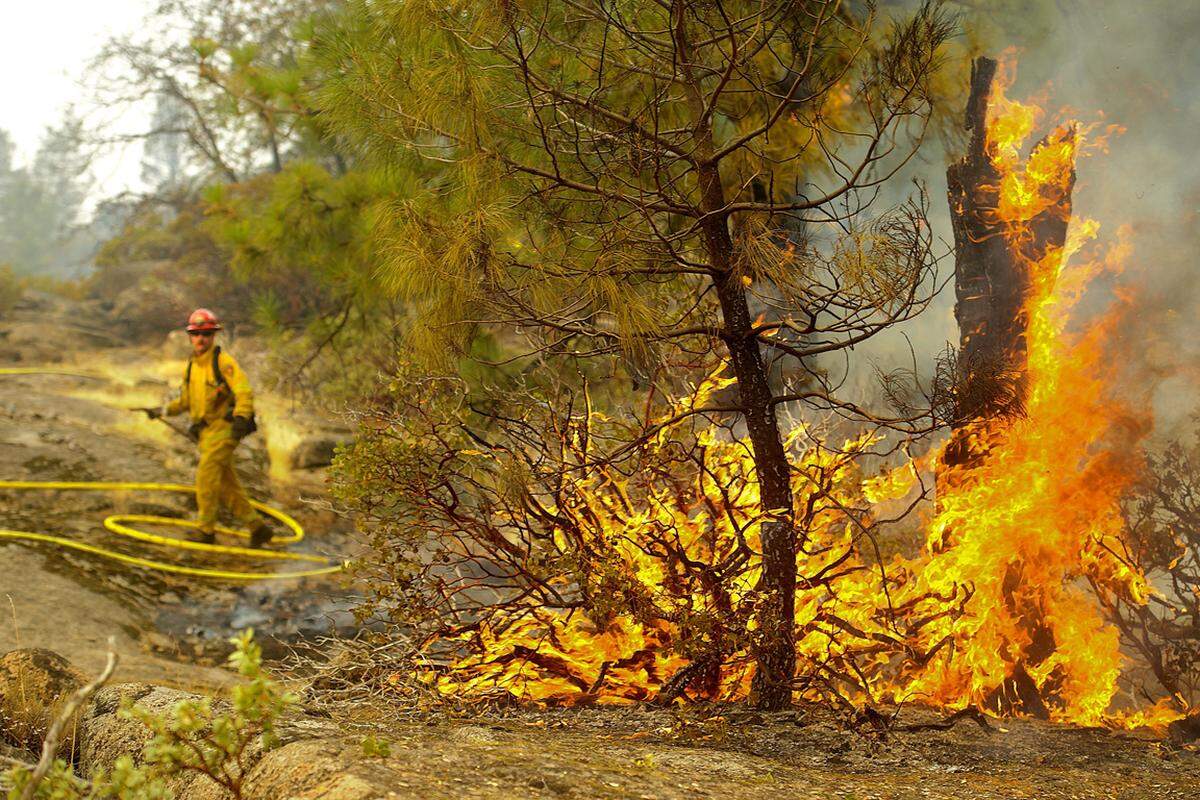 Die Waldbrände in der Nähe des berühmten Yosemite-Nationalparks bedrohen mittlerweile auch die Versorgung der etwa 300 Kilometer entfernt liegenden Metropole San Francisco mit Strom und Wasser.