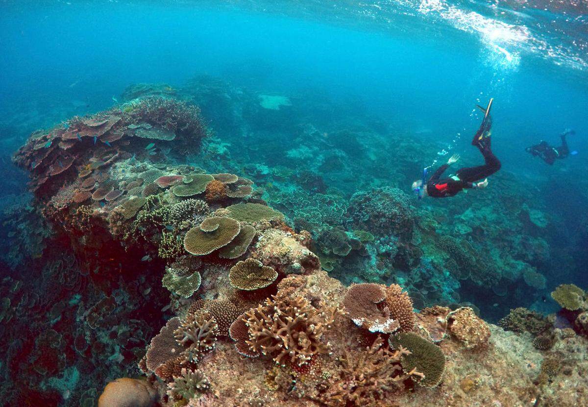 Die Inselgruppe ist nahezu unbekannt, deshalb fanden nur 4600 Besucher den Weg hierher. Zu dem südpazifischen Inselstaat gehört auch das Bikini-Atoll, auf dem die USA zwischen 1946 und 1957 Atombomben testeten.