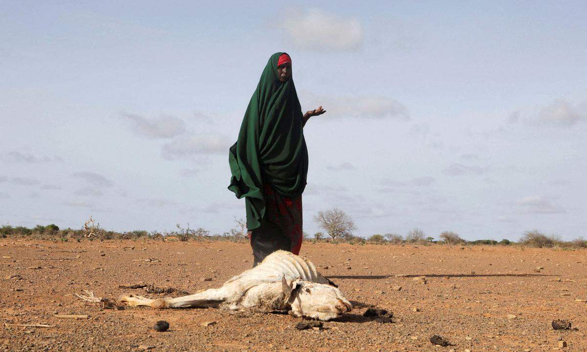 26. Mai. Die somalische Binnenvertriebene Habiba Bile steht in der Nähe des Kadavers ihres verendeten Viehs nach einer schweren Dürre in der Nähe von Dollow, Region Gedo.