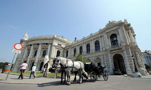 Das Wiener Burgtheater nebst zugelassenem Zubringer-Gefährt