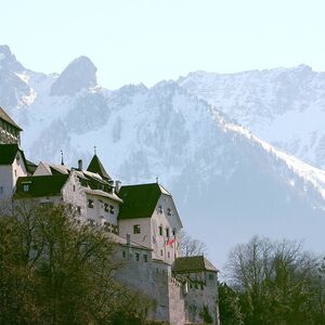 A general view shows Vaduz Castle in Liechtenstein's capital Vaduz