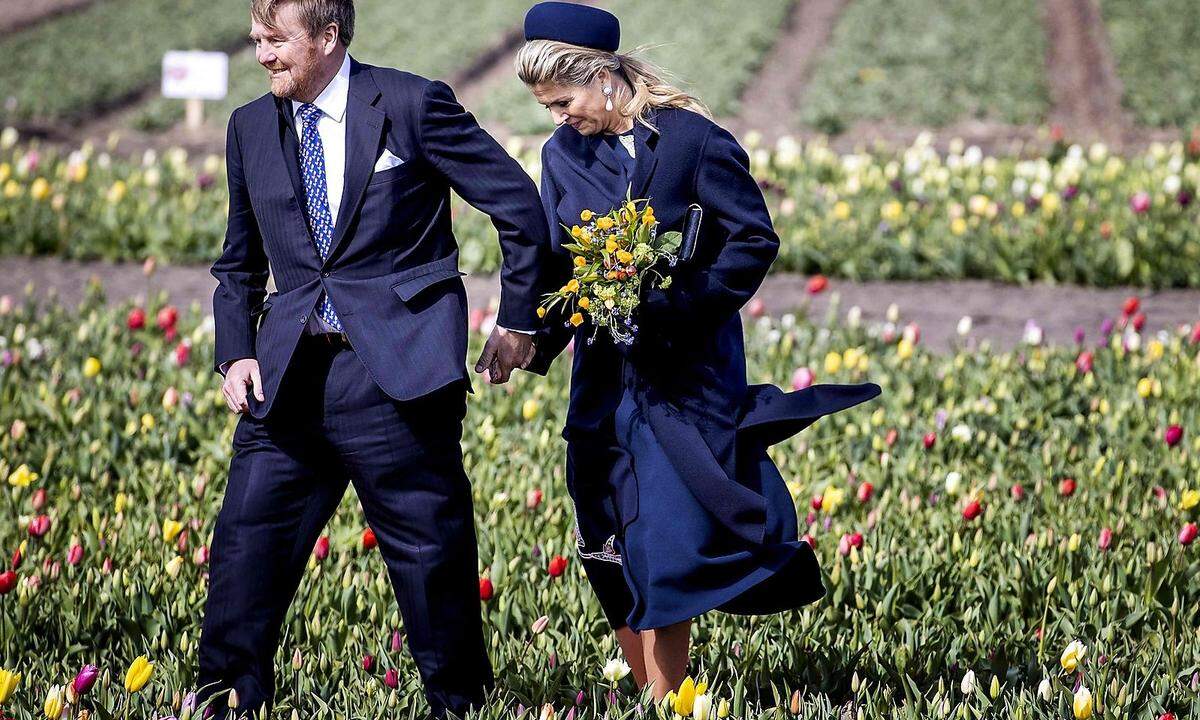 Niederlande pur: König Willem-Alexander und seine Frau Máxima im Tulpenfeld Anfang April.