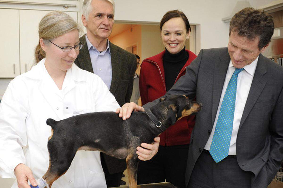An der veterinärmedizinischen Uni in Wien wurde gestreichelt, was das Zeug hält: Minister Töchterle und Rektorin Sonja Hammerschmid in der Kleintierklinik der Uni.