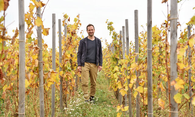 Michael Wenzel hat in seinem Garten Eden (so der Name der Riede) die historische Stockkultur wiederentdeckt.