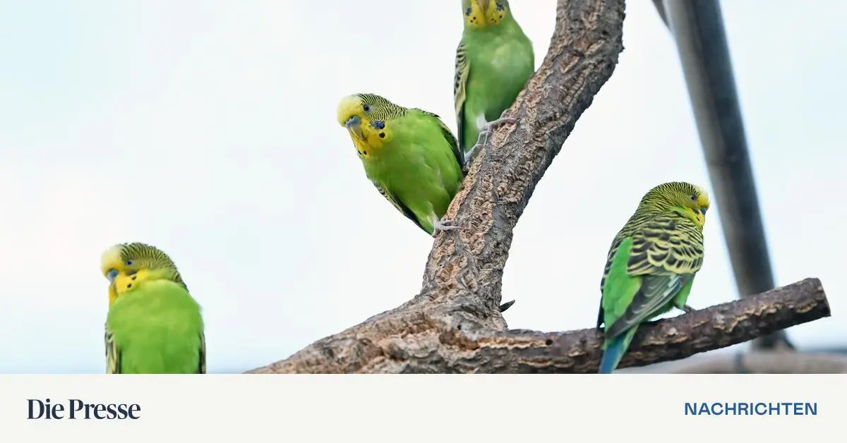 Wissen-in-K-rze-Heimische-Forschung-zu-Naturschutz-und-Klima