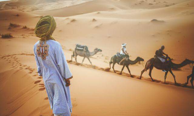 In Feldforschungen in Marokko, Saudiarabien, Jordanien, Ägypten und im Sudan sprechen die Forscher mit Beduinen. 