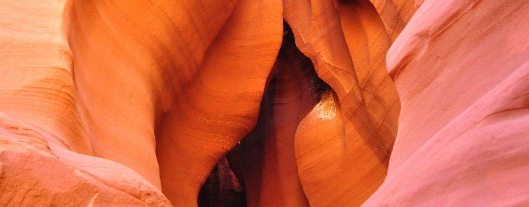 Eine Vulva aus Stein aus Arizona