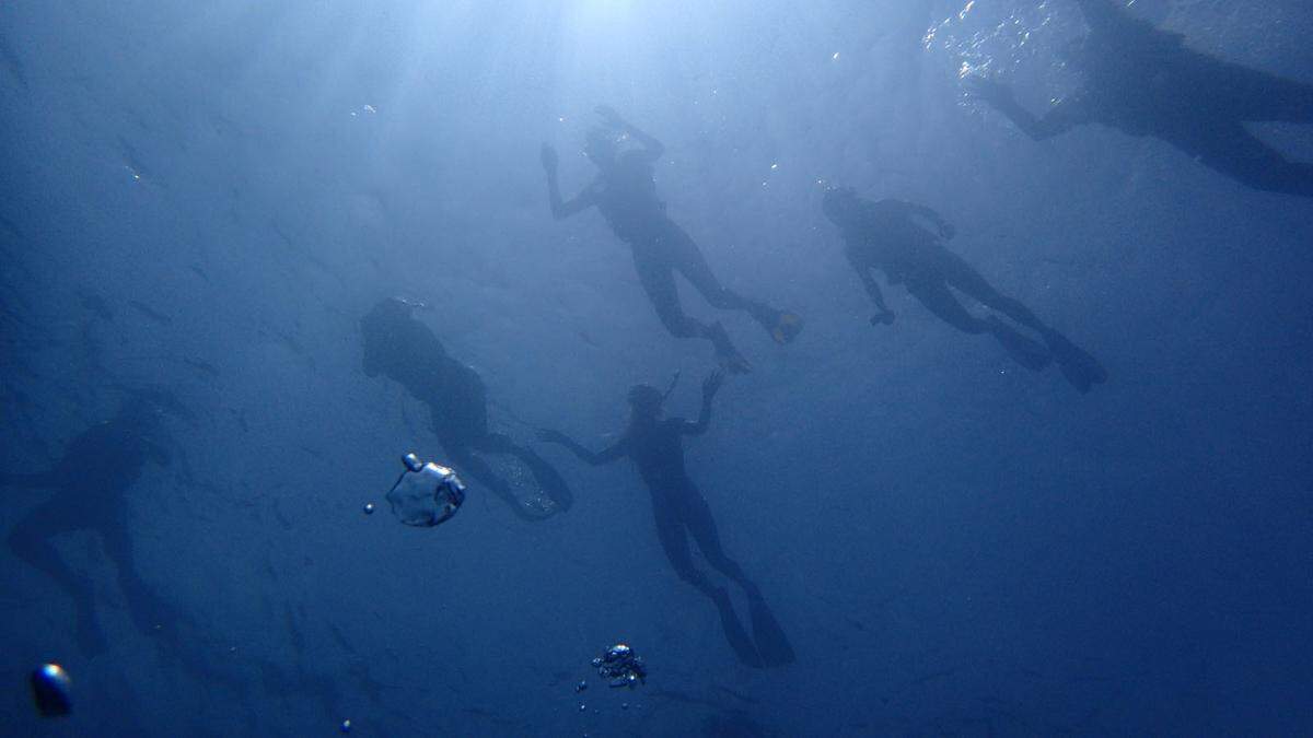 Unter der Wasseroberfläche findet sich das wahre Highlight der Malediven: Korallenriffe und eine reiche Fischfauna.