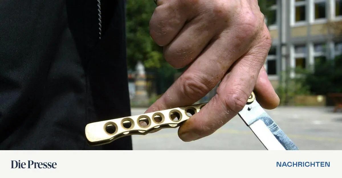 Waffengesetz-Durchf-hrungsverordnung-ging-in-Begutachtung