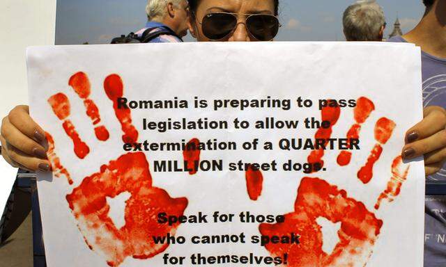 Rumaenien Rechtsradikale Hilfe fuer