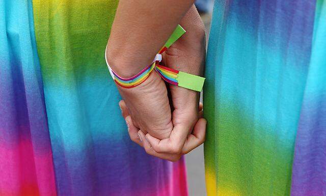 Homo-Ehe: Initiative kritisiert 
