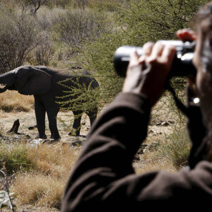 Selbstbestimmtheit, darauf kommt es an. Die Madikwe Game Reserve ist eine der größten, aber weniger bekannten Wildtierreservate. Die Buffalo Ridge Lodge gehört dem Dorf und wird von den Bewohnern betrieben.