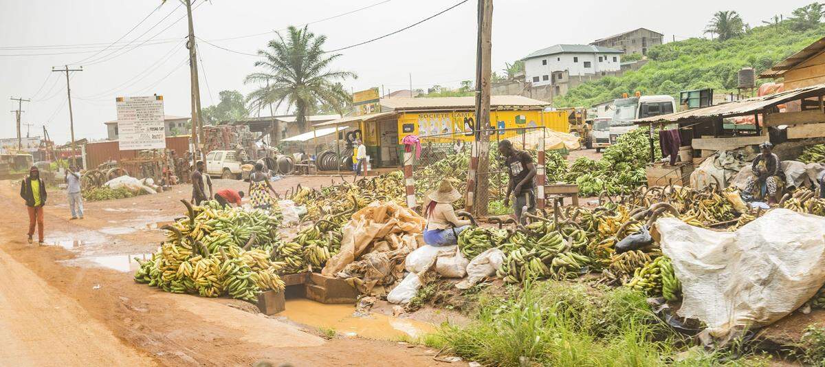 Abwechslung zum Bushmeat, dem Fleisch von wilden Tieren aus dem Regenwald und der Savanne: Bananen türmen sich am Straßenrand in Kamerun. Locals raten davon ab, einen größeren Schlenker durch den Norden des landschaftlich abwechslungsreichen Landes zu machen. Aktuell ist die Lage wegen Gewaltausbrüchen zu riskant für Extratouren.