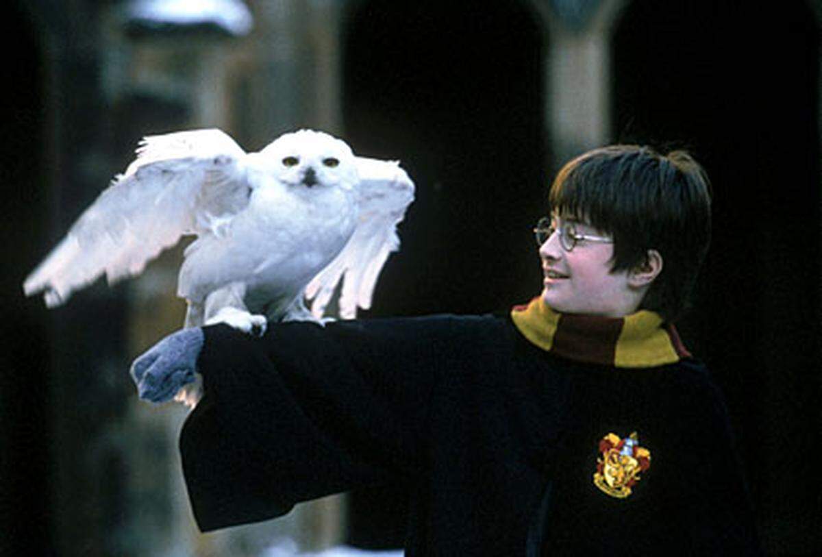 Kaum zu glauben: Die erste Verfilmung von J. K. Rowlings erfolgreicher Bücherserie war auch die erfolgreichste. "Harry Potter und der Stein der Weisen" spielte weltweit mehr als 974 Millionen Dollar ein.
